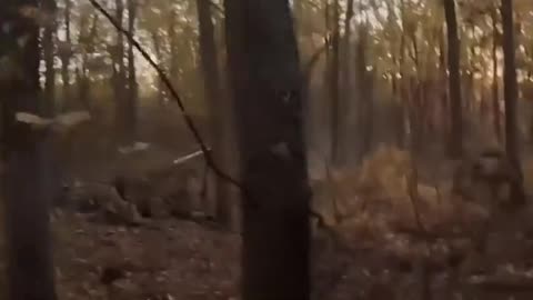 🪖🇷🇺 Ukraine Russia War | Ukrainian GUR MO Special Unit Captures Russian Soldier | RCF