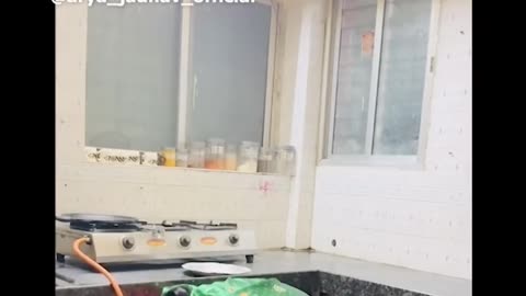 funny videos