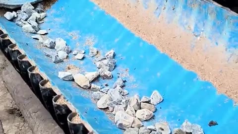 🤯✨ Why Ostriches Swallow Stones! | FeedMyCuriosity