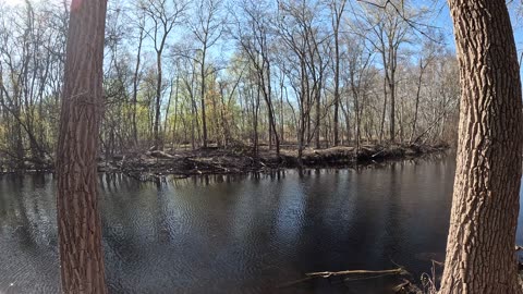 Even shorter video of nature