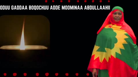ONM-ABO Adoolessa 5-2025 itti dhiyaadhaa!