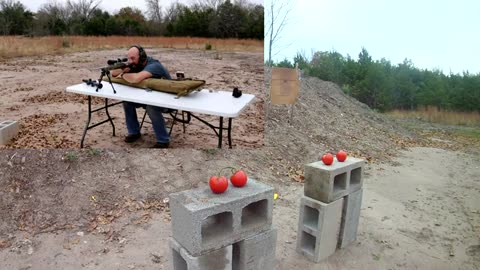 The 10 Guns EVERYONE Should Own