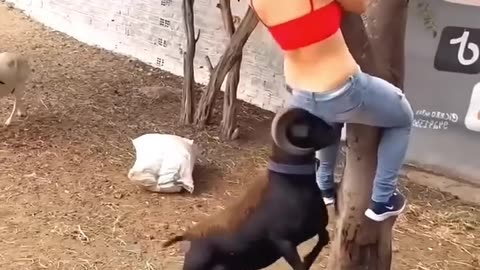video for fun