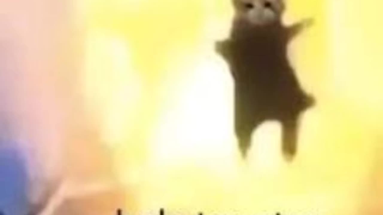 First vídeo cat 1