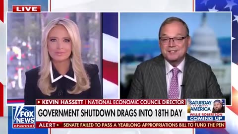 Dems are costing America '$15 BILLION a week,’ says Trump economic expert