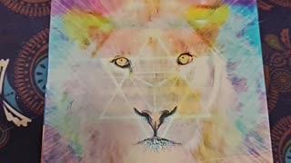 Oracle Card Reading 1/23/26