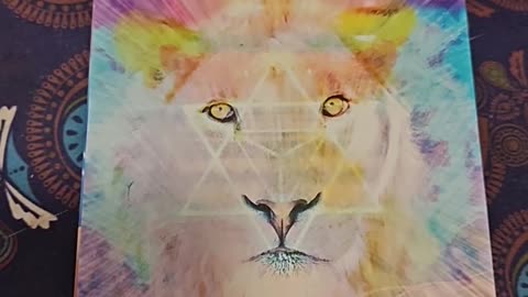 Oracle Card Reading 1/23/26