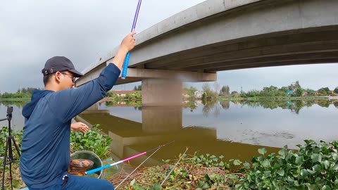 Wading for Rainbow Trout in a Clear Strea