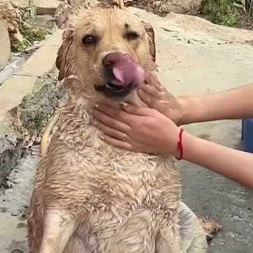 Dhoka ho gaya 😂💔