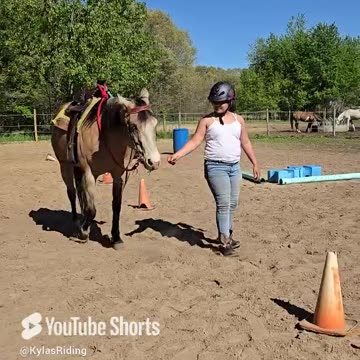 Gemma thinks she is a giant puppy dog!