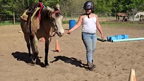 Gemma thinks she is a giant puppy dog!