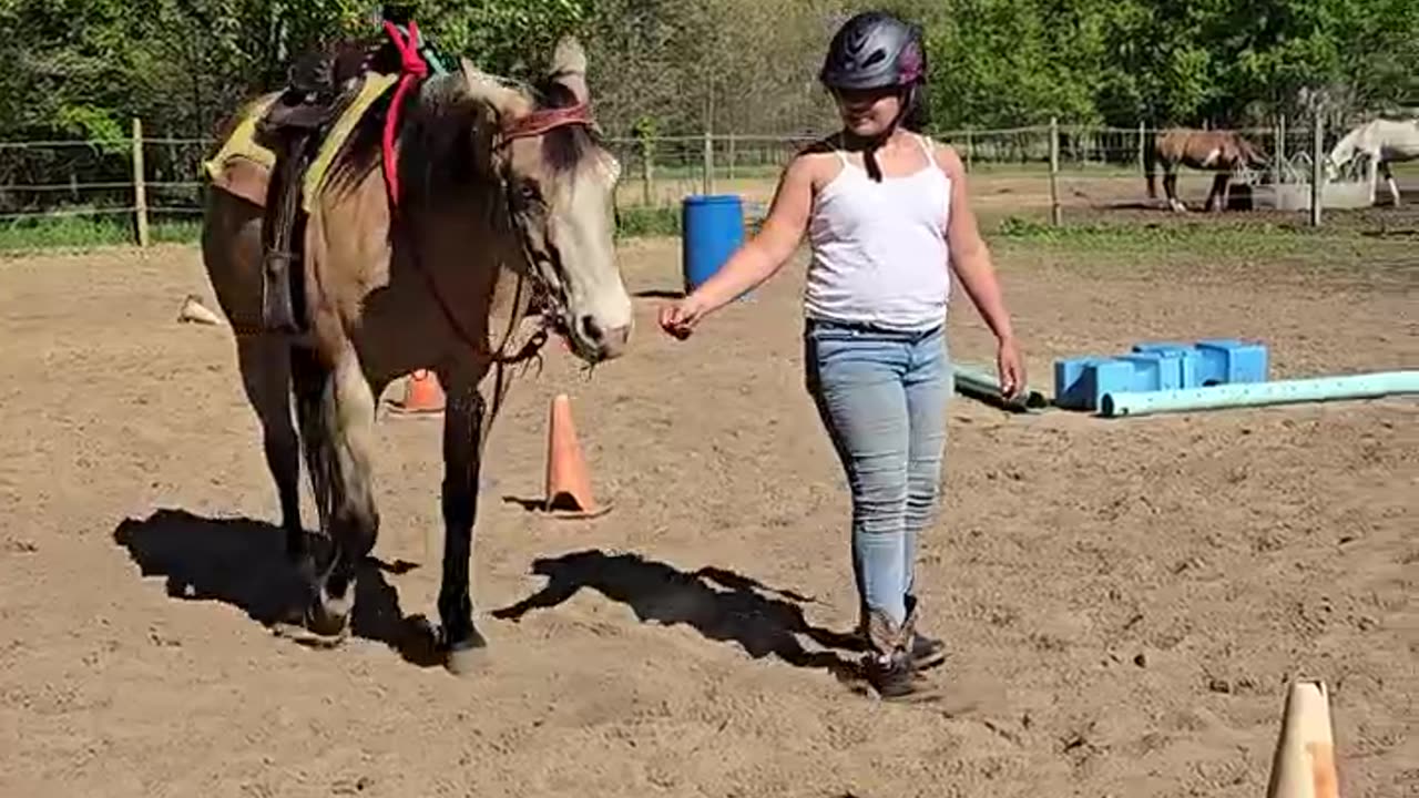 Gemma thinks she is a giant puppy dog!