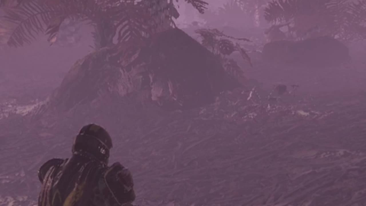 When Someone Hasn`t Seen A Mini Nuke Backpack Before (Helldivers 2)