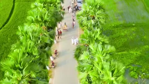 Green village