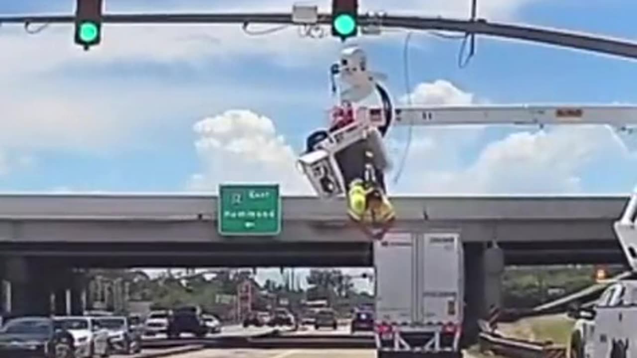 Lights Camera Action