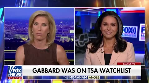 Tulsi Gabbard rips surveillance on her: 'POLITICALLY MOTIVATED'