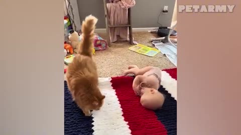 When Babies Grow Up With Pets, Every Moment Is Magic 🐶👶💖