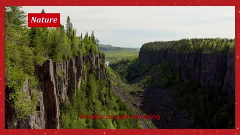 The Wonders of Nature 🌿 | Stunning Nature Documentary