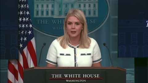 Karoline Leavitt: President Trump "will not support amnesty for illegal aliens in any way."