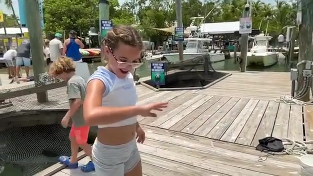 Big Fish Jumping & Eating