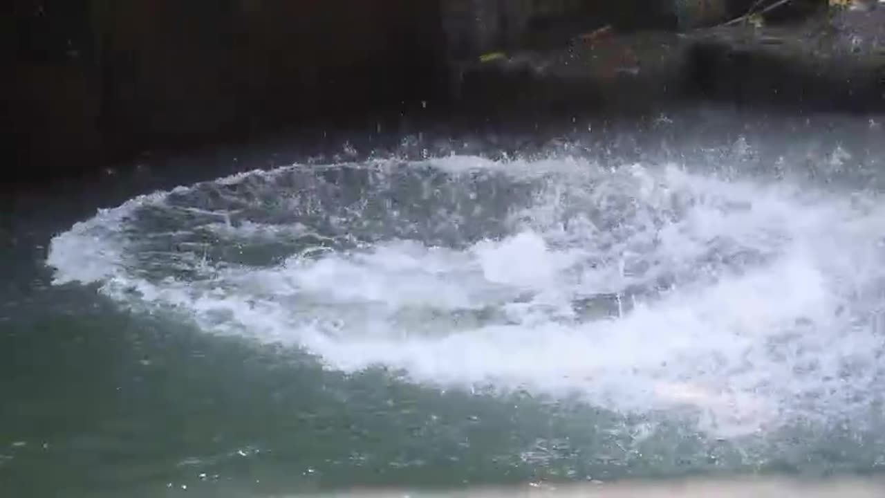 Cliff Jumping Fun and Swimming in the River