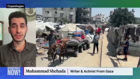 "Trying to Find Food Is a Death Sentence": Palestinian Writer Muhammad Shehada on Gaza Aid Massacres
