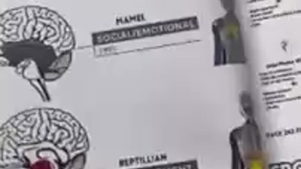 Revival of Wisdom | Book Of Wisdom (Part 8) (Dutch/NL Subs)