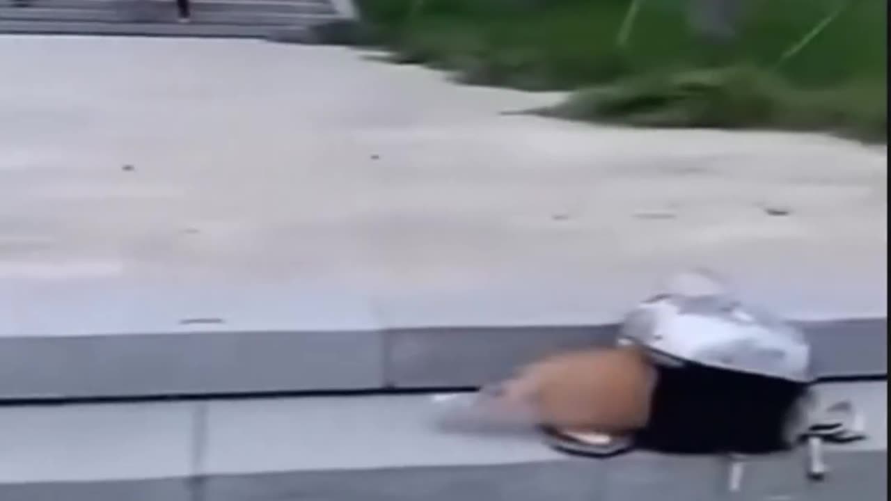 😂🌪️ The Ultimate Chaos Video! Proof that Chaos has no Limits | FunFM