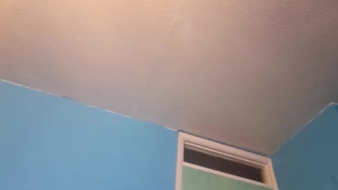 #harry , what the screaming was about, #king ,