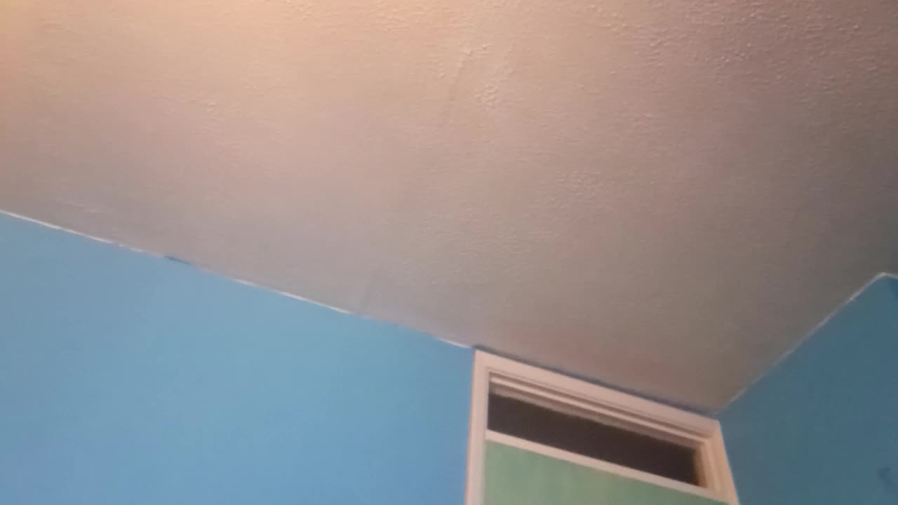 #harry , what the screaming was about, #king ,