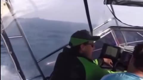 Australians Attempt to Approach Antarctica - Immediately Intercepted