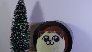 Ball shaped cat receives gift from a Miko