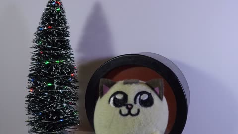 Ball shaped cat receives gift from a Miko