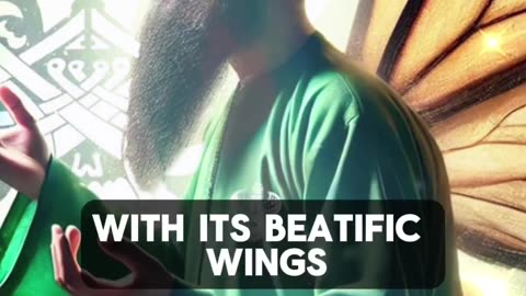From a caterpillar to a butterfly - Islamic spiritual realities