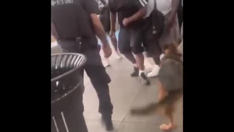 Chicago cop attacked by group of subway riders on Red Line platform