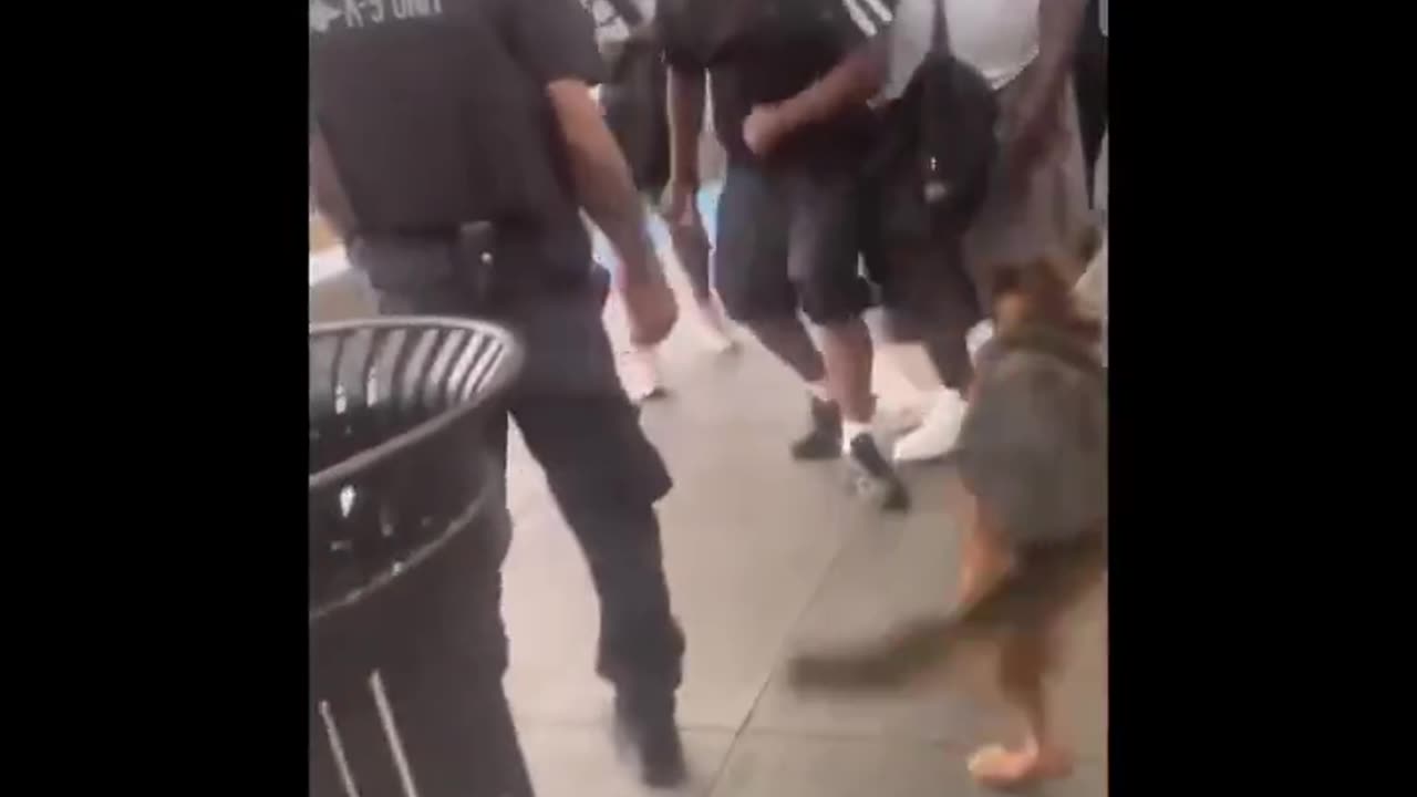 Chicago cop attacked by group of subway riders on Red Line platform