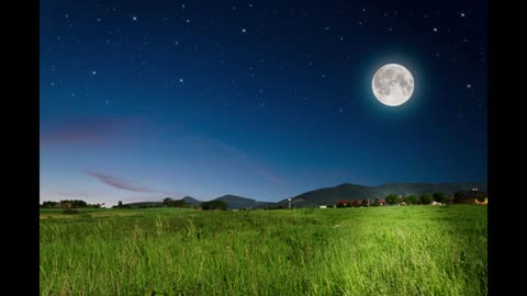 Spring Lunar Meditation - Empathically Strengthening Your Development Phase for This Year