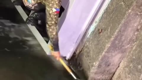 😂🐠 This Goldfish Rescue is Epic! | FunFM