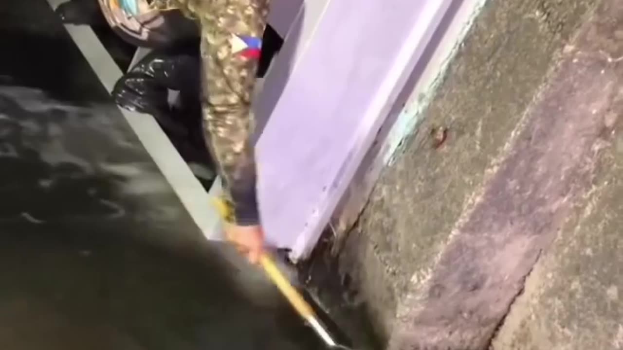 😂🐠 This Goldfish Rescue is Epic! | FunFM