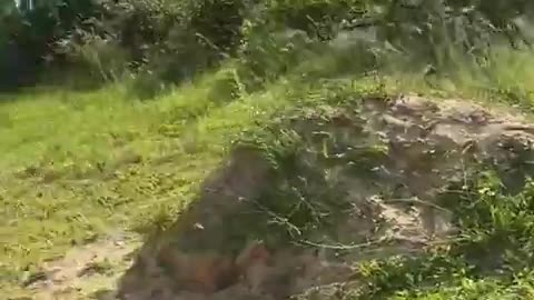 💥⚠️ Ukraine Russia War | Secondary Explosion Hits Near Zhytomyr After Strike | RCF