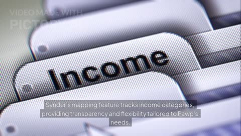 How Pawp Automated Revenue Recognition with Synder’s Stripe + QuickBooks Integration
