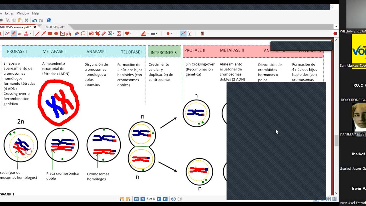 VONEX SEMESTRAL 2024 | Semana 09 | Biología