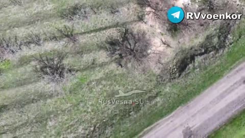 Ukraine Conflict