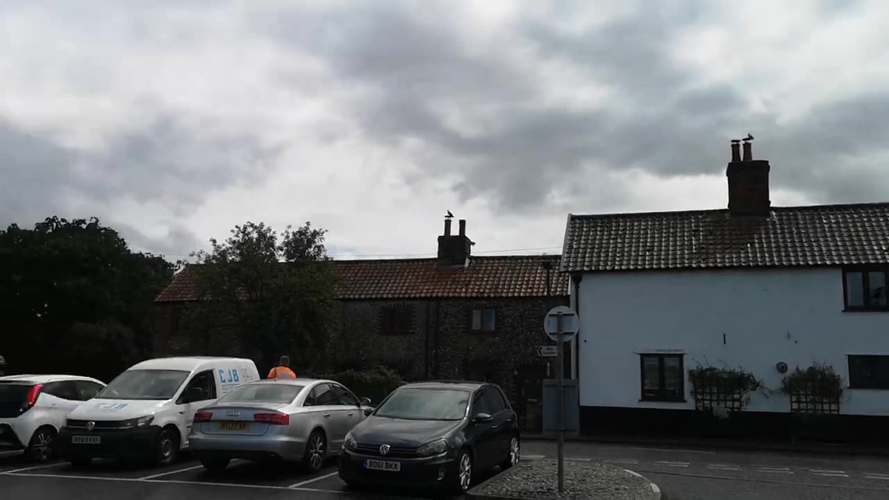 RUN While You Still Can