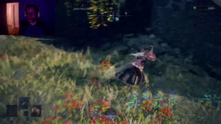 Undisputed Elden Ring Champion