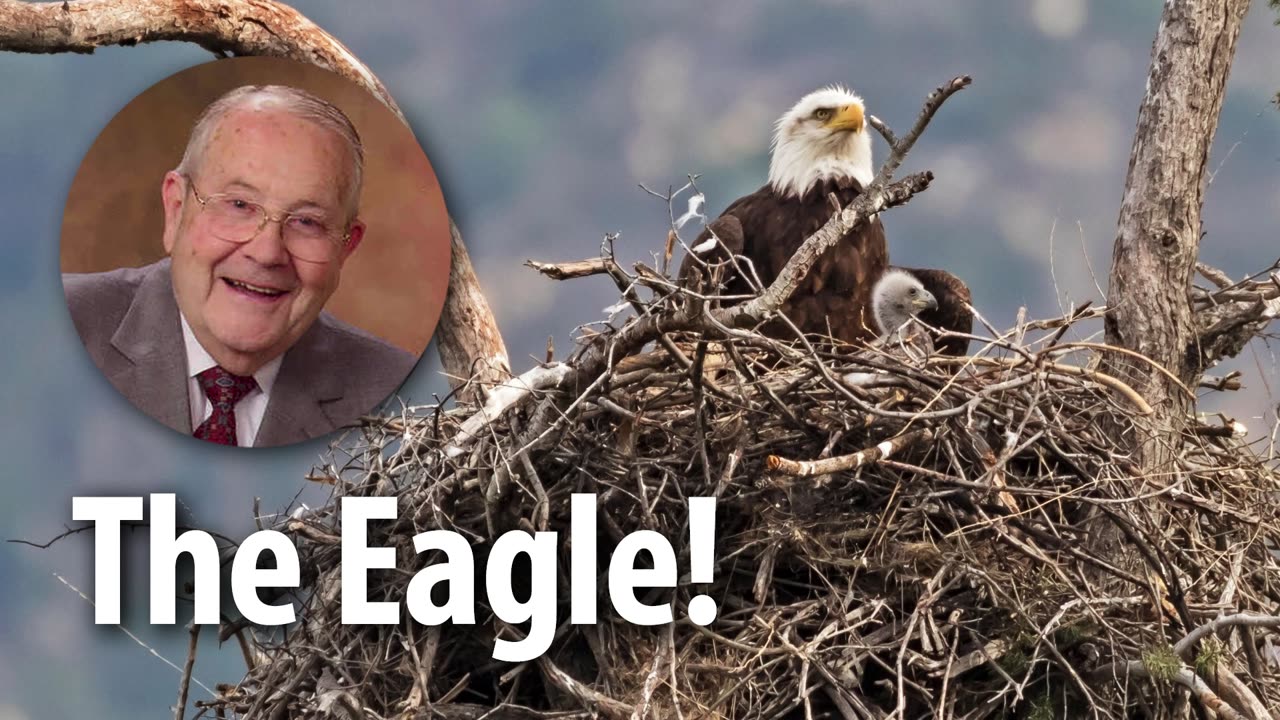 THE EAGLE​​​​​​! – Deuteronomy 32:11-12 – Devotional by Pastor Cecil A. Thompson