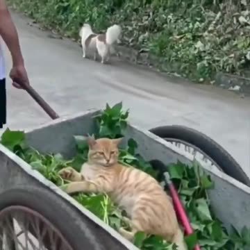 Living the best life.. 😊