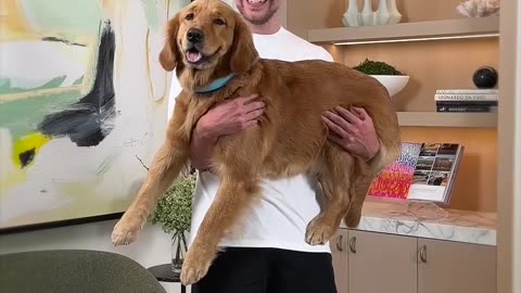 Holding more and more