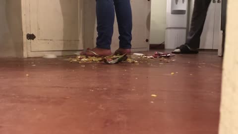 Careless Garbage Crush