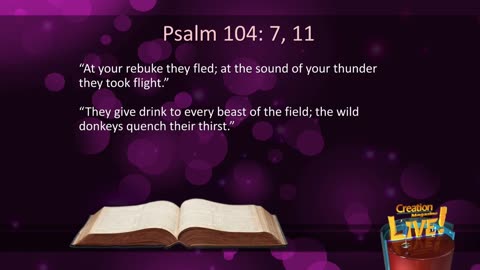 Associated Christian Television 24/7